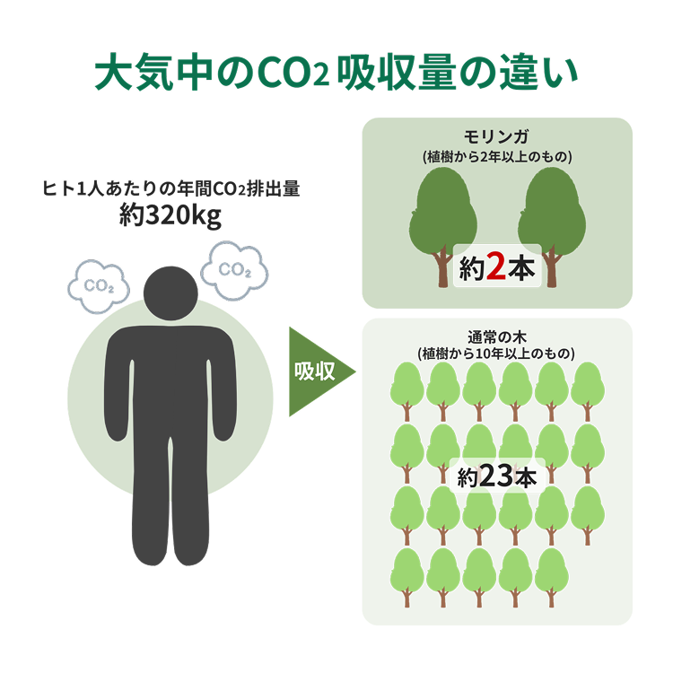 大気中のCO2吸収量の違い