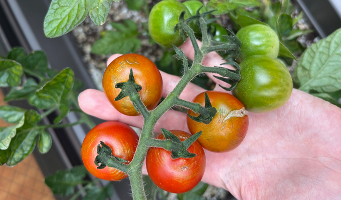 作業内容イメージ２