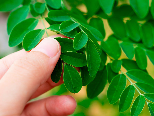 作業内容イメージ７